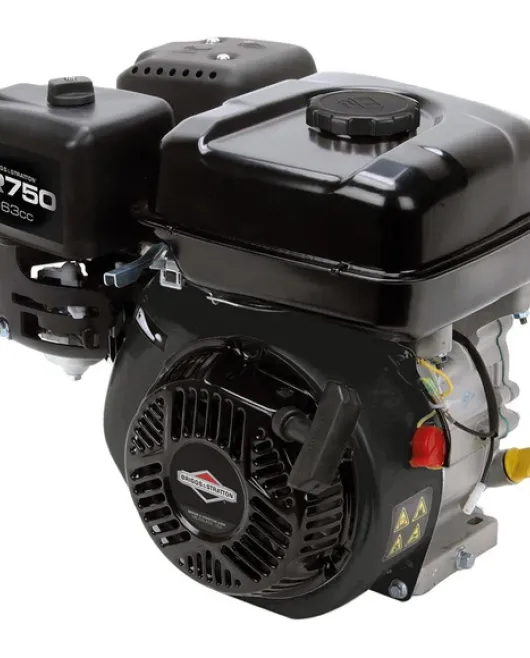 Briggs Stratton 10R232-0009-F1 Horizontal CR 750 Series Engine