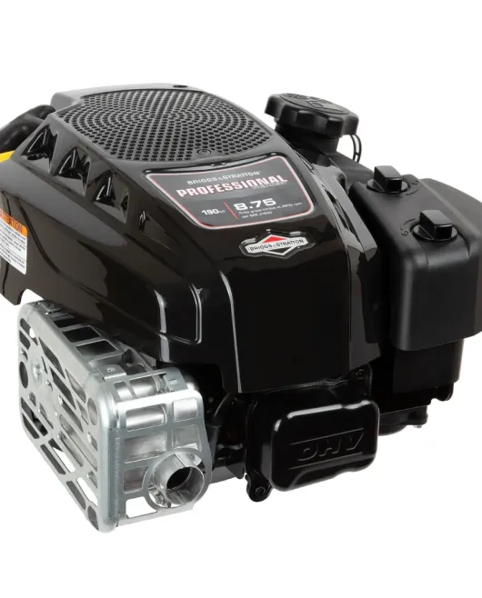 Briggs Stratton 125P02-0012-F1 Vertical Engine