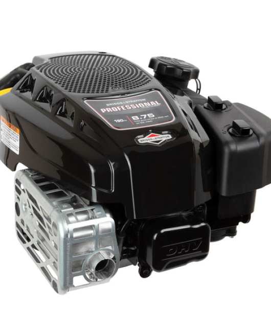 Briggs Stratton 125P02-0086-F1 Engine