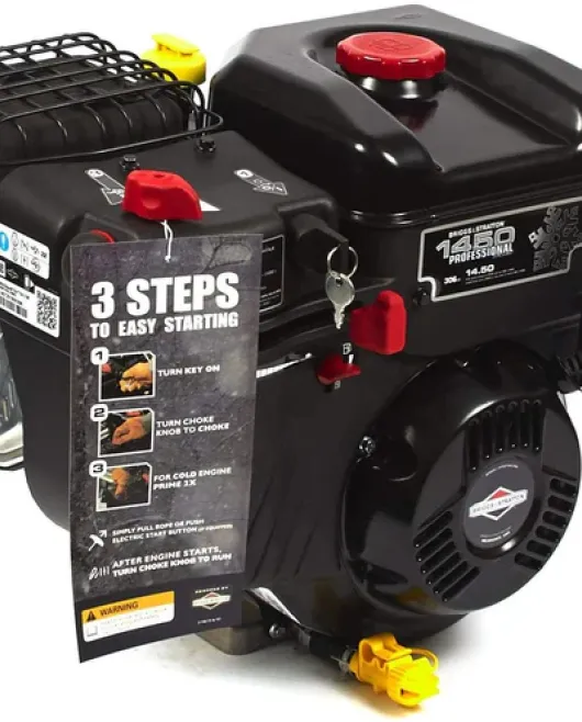Briggs Stratton 19J137-0008-F1 Horizontal Snow Engine