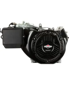 Briggs &amp; Stratton 25T235-0111-G2 Horizontal Engine