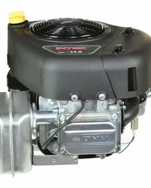 Briggs & Stratton 31R907-0007-G1 Vertical Engine